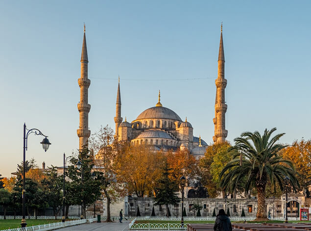 Istanbul: The Blue Mosque at golden hour, its cascading domes and twin minarets framed by autumn trees and a palm