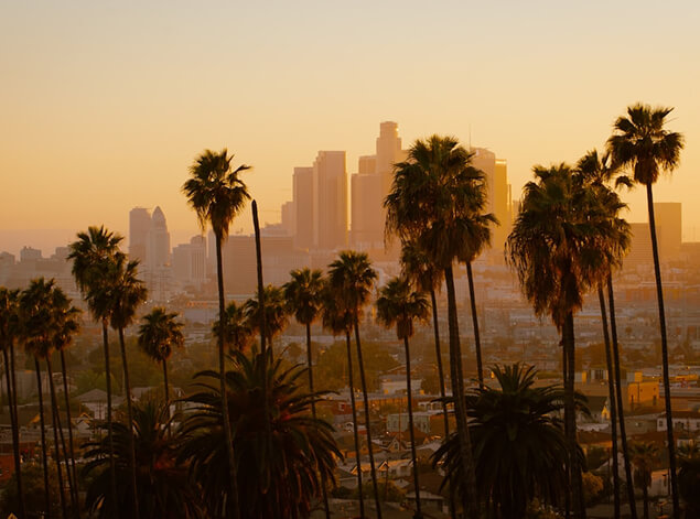 Los Angeles: The downtown Los Angeles skyline in golden haze, seen through a screen of tall palm trunks