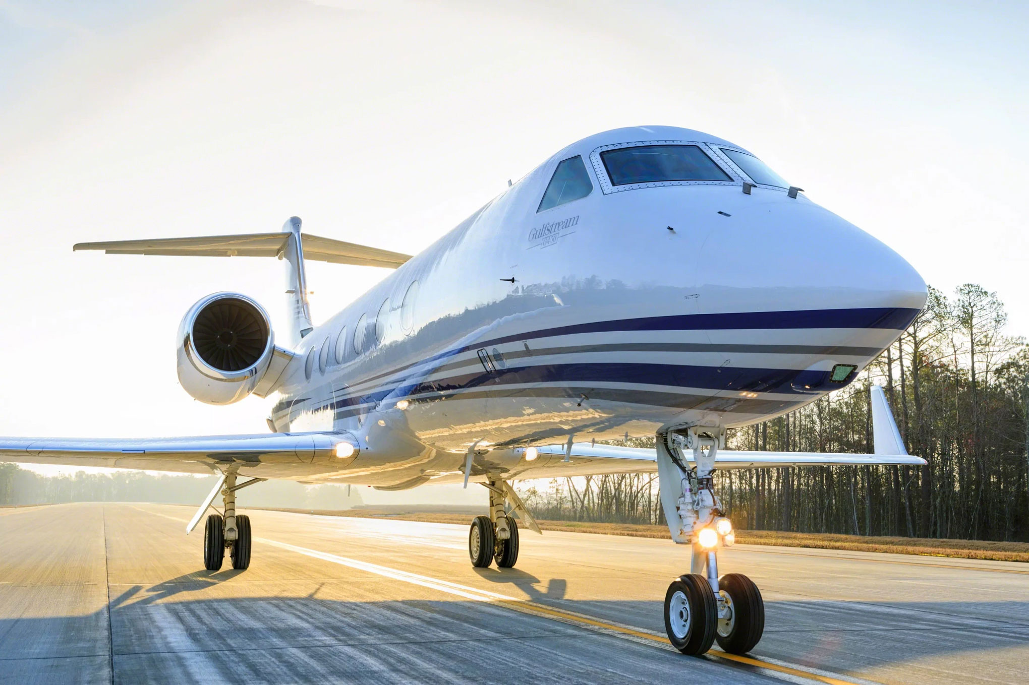 Gulfstream G450 on the runway, seen from the nose